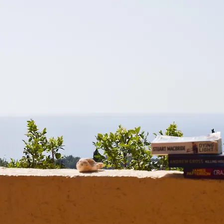 戴安娜一室公寓酒店 公寓式酒店 4*