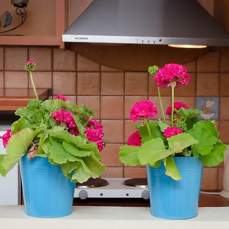 아파트호텔 Diana